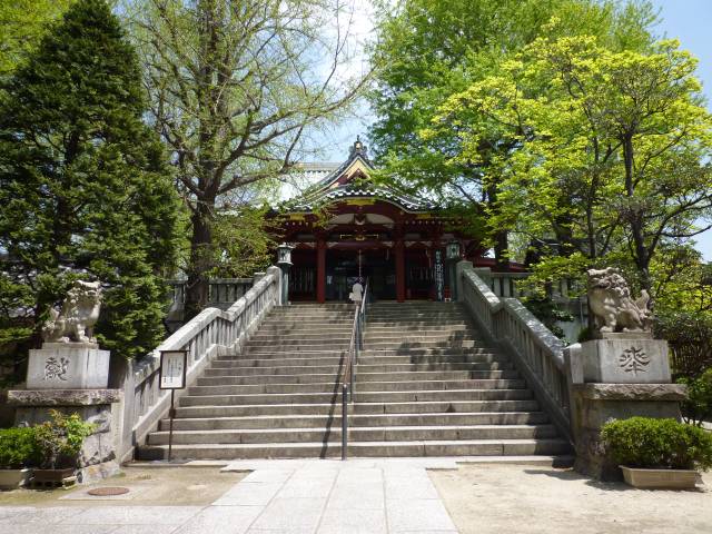 画像を等倍で表示します 画像