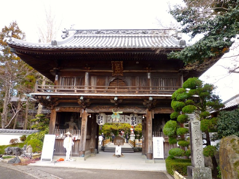 画像を等倍で表示します 画像